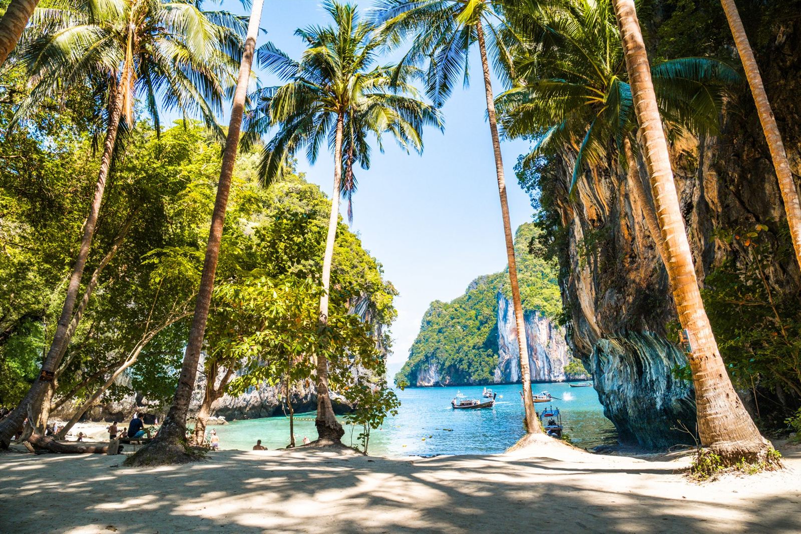 Palmen und Kalksteinfelsen an der Küste von Krabi, Thailand